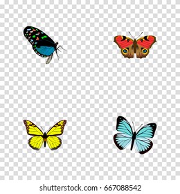 Realistic Hairstreak, Archippus, Lexias And Other Vector Elements. Set Of Butterfly Realistic Symbols Also Includes Butterfly, Sky, Brown Objects.