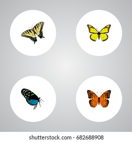 Realistic Hairstreak, Danaus Plexippus, Checkerspot And Other Vector Elements. Set Of Beauty Realistic Symbols Also Includes Bluewing, Blue, Butterfly Objects.