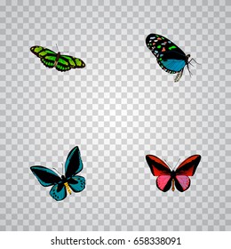 Realistic Hairstreak, Demophoon, Callicore Cynosura And Other Vector Elements. Set Of Moth Realistic Symbols Also Includes Sky, Bluewing, Cynosura Objects.
