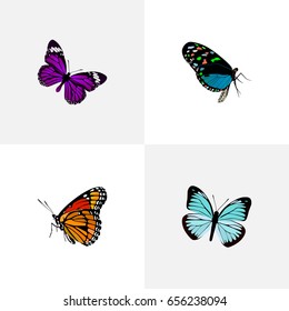 Realistic Hairstreak, Lexias, Milkweed And Other Vector Elements. Set Of Moth Realistic Symbols Also Includes Blue, Beautiful, Sky Objects.