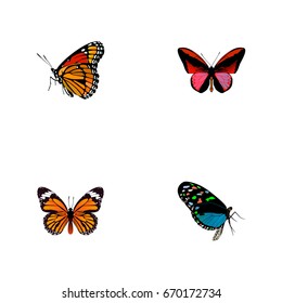 Realistic Hairstreak, Monarch, Milkweed And Other Vector Elements. Set Of Butterfly Realistic Symbols Also Includes Red, Cynosura, Orange Objects.