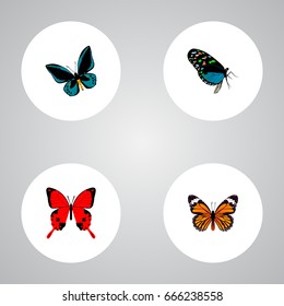 Realistic Hairstreak, Sangaris, Demophoon And Other Vector Elements. Set Of Beauty Realistic Symbols Also Includes Monarch, Red, Sky Objects.