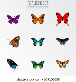 Realistic Hairstreak, Sangaris, Tiger Swallowtail And Other Vector Elements. Set Of Moth Realistic Symbols Also Includes Bluewing, Malachite, Tiger Objects.