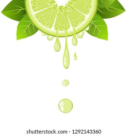 Realistic half lime slice with leaves and drops of juice. Juicy fruit. Fresh citrus design on white background vector illustration