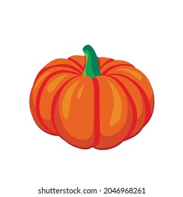 Realistic Halloween pumpkin. Halloween pumpkin isolated on white background.