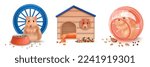 Realistic hamster compositions set with pet house and playing wheel isolated vector illustration