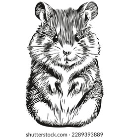 Realistic hamster vector, hand drawn animal illustration hamsters
