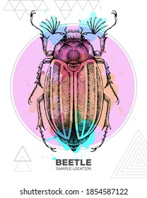 Escarabajo realistas dibujando a mano sobre fondo de acuarela. Bug artístico. Ilustración vectorial entomológica