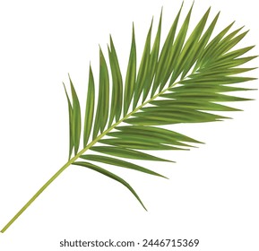 Mano realista que dibuja el diseño del patrón del hogar de la decoración de la naturaleza del jardín del verano de la hoja de palma 