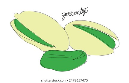 Realistic hand drawing of pistachio nuts with leaves. Group of pistachio nuts, shelled and unshelled, sketch style vector illustration isolated on white background.