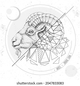Realistic hand drawing and polygonal ram of mouflon head illustration. Magic card with Aries zodiac sign
