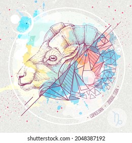 Realistic hand drawing and polygonal ram of mouflon head illustration on watercolor background. Magic card with Capricorn zodiac sign