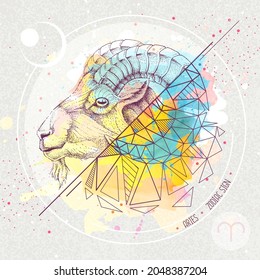 Realistic hand drawing and polygonal ram of mouflon head illustration on watercolor background. Magic card with Aries zodiac sign