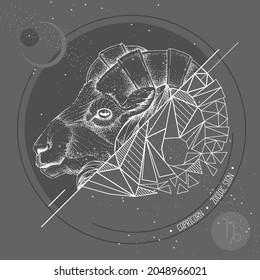 Realistic hand drawing and polygonal ram of mouflon head illustration. Magic card with Capricorn zodiac sign