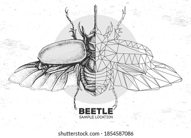 Realistic hand drawing and polygonal rhinoceros beetle. Artistic Bug. Entomological vector illustration