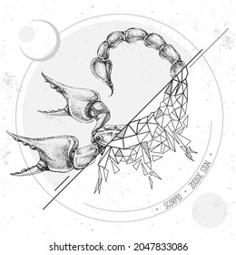 Dibujo manual realista e ilustración de escorpión poligonal. Tarjeta mágica con signo de zodiaco Scorpio