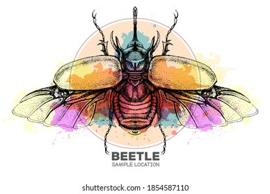 Realistic hand drawing rhinoceros beetle on watercolor background. Artistic Bug. Entomological vector illustration