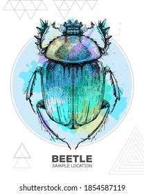 Realistic hand drawing Scarabaeus beetle on watercolor background. Artistic Bug. Entomological vector illustration