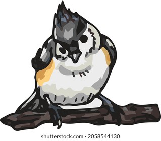 realistic hand drawn bird front view