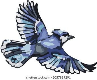 Realistic Hand Drawn Blue Jay Flying