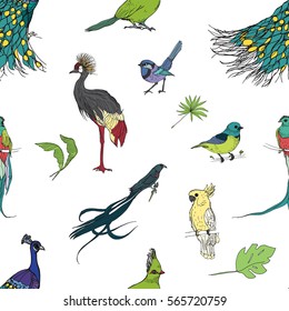 Realistic hand drawn colorful seamless pattern of beautiful exotic tropical birds with palm leaves. Flamingos, cockatoo, hummingbird, toucan, peacock.