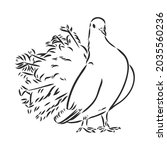 Realistic hand drawn dove. Vector illustration or element for your design.