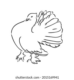 Realistic hand drawn dove. Vector illustration or element for your design.