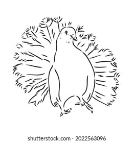 Realistic hand drawn dove. Vector illustration or element for your design.