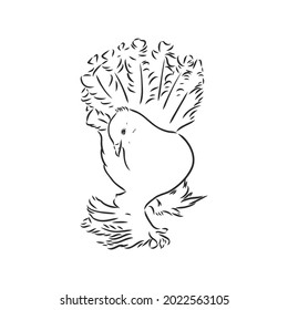 Realistic hand drawn dove. Vector illustration or element for your design.