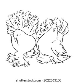 Realistic hand drawn dove. Vector illustration or element for your design.