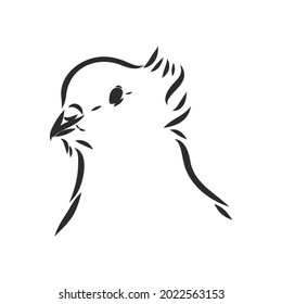 Realistic hand drawn dove. Vector illustration or element for your design.