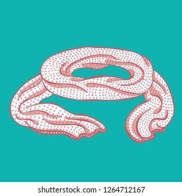 Realistic hand drawn knitted scarf. Vector illustration knitted seasonal winter traditional accessories with ornament 