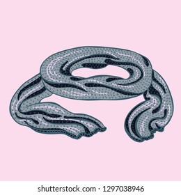Realistic hand drawn knitted scarf. Vector illustration knitted seasonal winter traditional accessories with ornament 