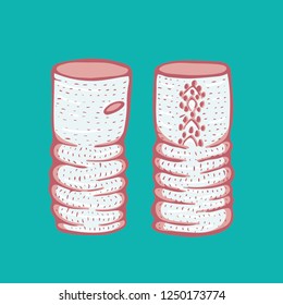 Realistic hand drawn mittens with knitted braid cables. Vector illustration knitted seasonal winter traditional accessories with ornament 