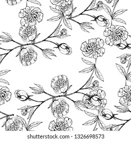 Realistic hand drawn pattern with peony. White and black illustration surface design