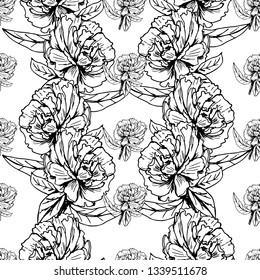 Realistic hand drawn pattern with peony. White and black illustration surface design