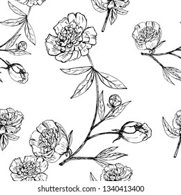 Realistic hand drawn pattern with peony. White and black illustration surface design