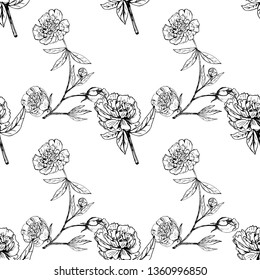 Realistic hand drawn pattern with peony. White and black illustration surface design