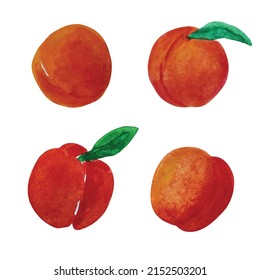 Realistic hand drawn set of watercolor peaches with leaves illustration for gift card wedding invitation design