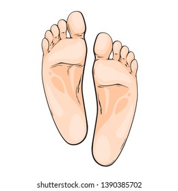 Realistic Hand Drawn Sketch Foots Vector Stock Vector (Royalty Free ...