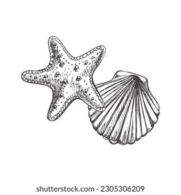 Realistic hand drawn sketch of saltwater scallop seashell, clam, conch and marine Starfish. Scallop sea shell, sketch style vector illustration isolated on white background.