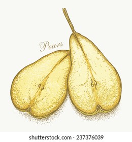 Parto vectorial de peras dibujado a mano. Sin mallas, sin gradientes. vector gráfico dibujado a mano eps8, versión de color