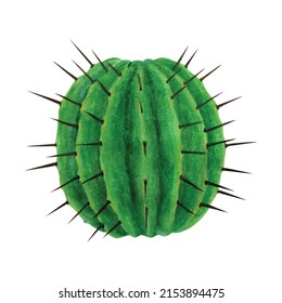 Realistic hand drawn watercolor cactus succulent