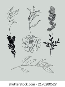 Realistic hand-drawn herbs  wildflowers. Vector
