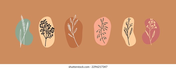 Realistische handgezeichnete Kräuter und Wildblumen. Vektorgrafik
