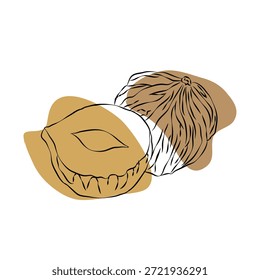 Ilustrações de avelã realistas, Vetor limpo conjunto ideal para embalagem, rótulo e design de produto, Ilustração de vetor de fatias de avelã, em um fundo limpo, Ilustração de avelã, formato EPS, ilustração de vetor