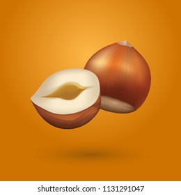 Realistic Hazelnut vector illustration with shadow isolated on yellow background.