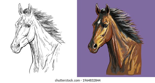 Realistic head of horse with a flowing mane. Vector black and white and colorful isolated illustration of horse. For decoration, coloring book, design, prints, posters, postcards, stickers, tattoo