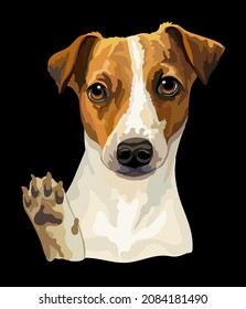 Cabeza realista de Jack russel terrier dog. Ilustración del vector de color aislada en el fondo negro. Para decoración, diseño, impresión, carteles, postales, pegatinas, camisetas, bordado