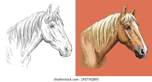 Cabeza realista del caballo de castaño deportivo. Vector negro y blanco y colorido ilustración aislada del caballo. Para la decoración, libro de colorear, diseño, impresiones, carteles, postales, pegatinas, tatuajes, camiseta